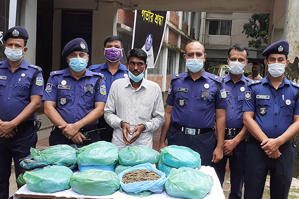 ফুলপুরে ১১ কেজি গাঁজাসহ গ্রেফতার ১