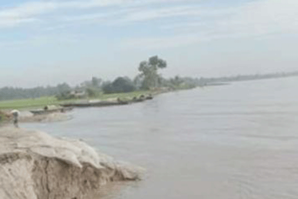 সিরাজগঞ্জে যমুনার পানি বৃদ্ধি অব্যাহত, তীরবর্তী এলাকায় ভাঙন