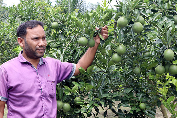 শখের বশে যৌথ বাগান করে লাভবান শিক্ষক