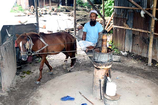 ৬ পুরুষের পেশা, মৃত্যুর পরে কে ধরবে ঘানির হাল