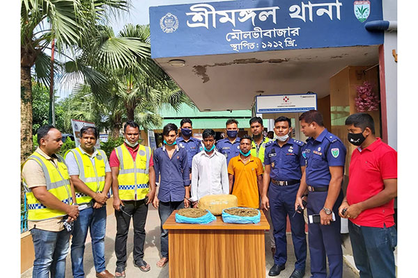 
শ্রীমঙ্গলে গাঁজাসহ তিনজন আটক
