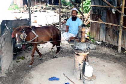 ৬ পুরুষের পেশা, মৃত্যুর পরে কে ধরবে ঘানির হাল