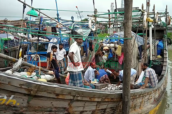 দেখা মিলছে না ইলিশের, খালি ট্রলার নিয়ে ফিরছেন জেলেরা