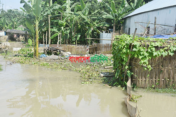রাজবাড়ীতে পানিবন্দী সাড়ে ৭ হাজার পরিবার
