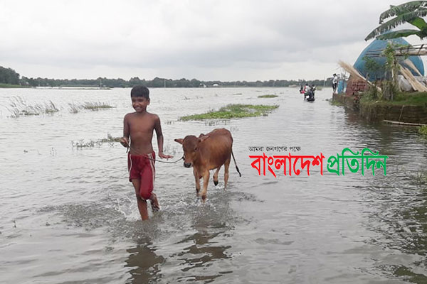 ফরিদপুরে বন্যার পানি আর ভাঙন বেড়েছে পাল্লা দিয়ে