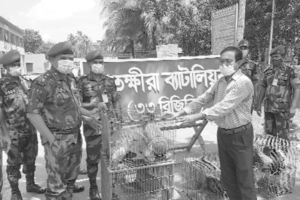 ভারতে পাচারকালে ৯ বন্যপ্রাণী উদ্ধার
