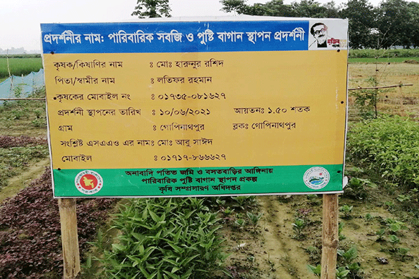 নওগাঁয় জনপ্রিয় হচ্ছে পারিবারিক পুষ্টি বাগান