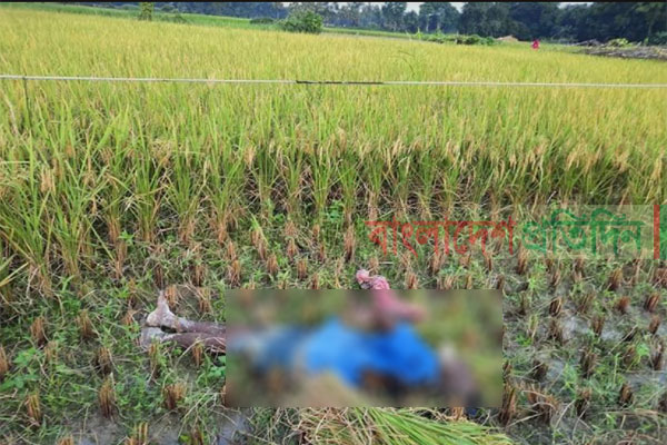ঝুলে থাকা বিদ্যুতের তারে জড়িয়ে কৃষকের মৃত্যু 