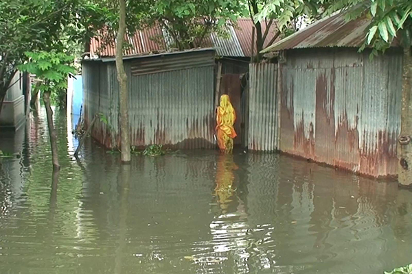 সিরাজগঞ্জে ফের বাড়ছে যমুনার পানি