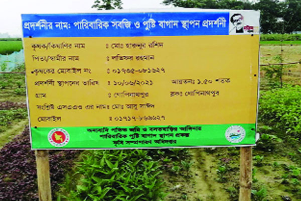 নওগাঁয় জনপ্রিয় পুষ্টিবাগান