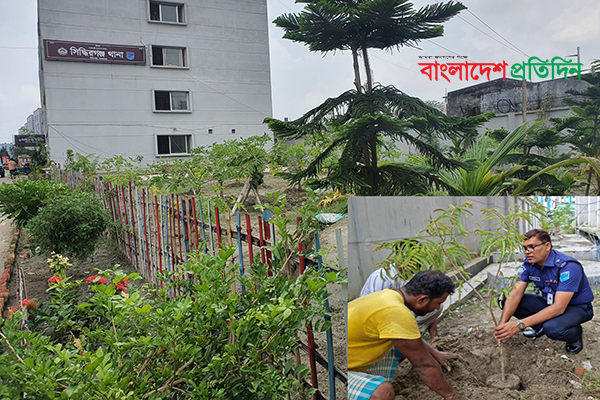 সিদ্ধিরগঞ্জ থানায় সবুজায়ন 