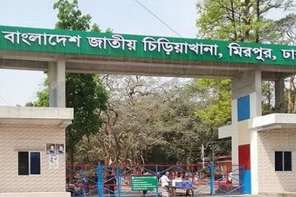 করোনায় বন্ধ থাকা জাতীয় চিড়িয়াখানা খুলছে আজ
