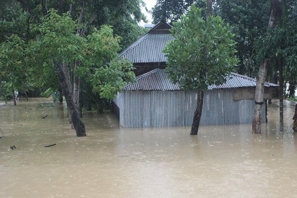 বিপৎসীমার ওপরে ৮ নদীর পানি, ১২ জেলার বন্যা অবনতির শঙ্কা

