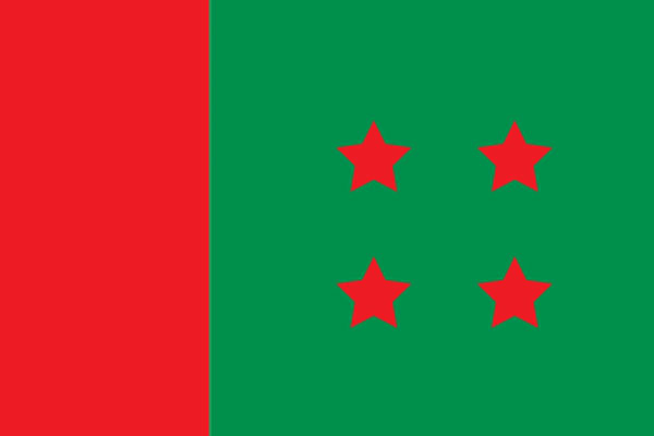 চার পরিকল্পনা বাস্তবায়নে মাঠে নামছে আওয়ামী লীগ