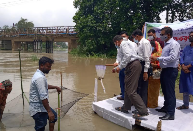কালিয়াকৈরে মৎস্য সপ্তাহ উপলক্ষে পোনা মাছ অবমুক্ত