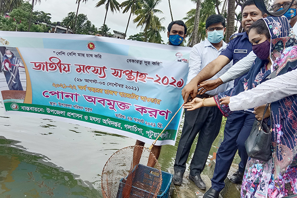 গলাচিপায় মৎস্য সপ্তাহ উপলক্ষে মাছের পোনা বিতরণ