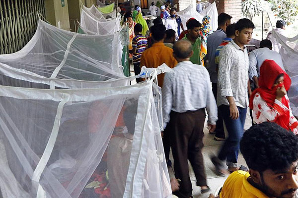 জানুয়ারি থেকে এ পর্যন্ত প্রায় ১০ হাজার ডেঙ্গু রোগী হাসপাতালে ভর্তি