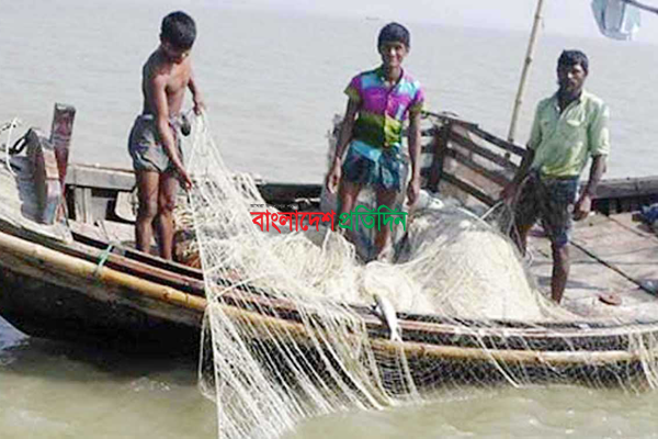 বরগুনার বিষখালী ও বুড়ীশ্বর নদী ইলিশ শূন্য!