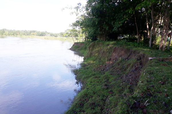 মৌলভীবাজারে নদী ভাঙনে বিলীন হচ্ছে ফসলি জমি