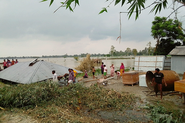 নদী ভাঙনে দিশেহারা রংপুরের তিস্তাপারের মানুষজন