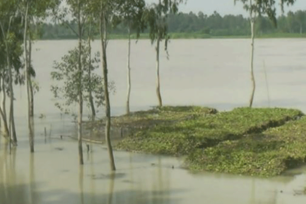 কুড়িগ্রামে ৪০ হাজার মানুষ পানিবন্দি