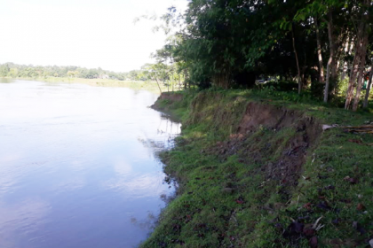 মৌলভীবাজারে নদী ভাঙনে বিলীন হচ্ছে ফসলি জমি