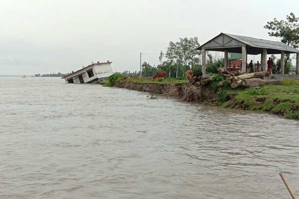 তিস্তার পানি কমলেও ভাঙন অব্যাহত