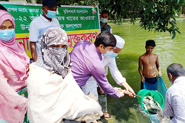 নওগাঁয় মাছের পোনা অবমুক্ত