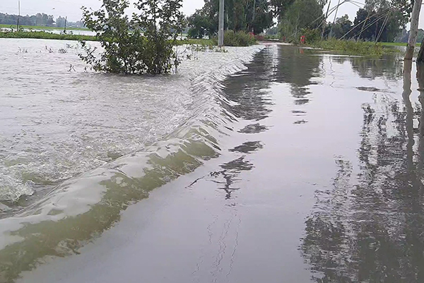 টাঙ্গাইলে যমুনাসহ বিভিন্ন নদীর পানি বৃদ্ধি অব্যাহত
