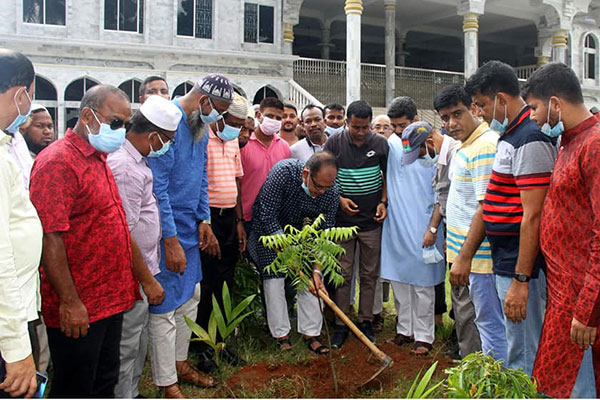 বগুড়া জামিল মাদরাসায় বিএনপির বৃক্ষরোপণ 