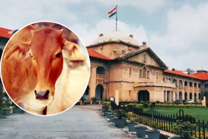 ভারতে গরুকে ‘জাতীয় পশু’ ঘোষণার সুপারিশ