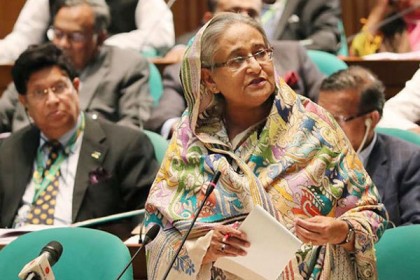 করোনা কমলেও ডেঙ্গুর প্রকোপ রয়েছে: প্রধানমন্ত্রী