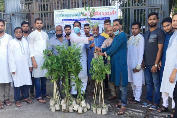বিশ্বনাথে বৃক্ষরোপণ কর্মসূচির উদ্বোধন