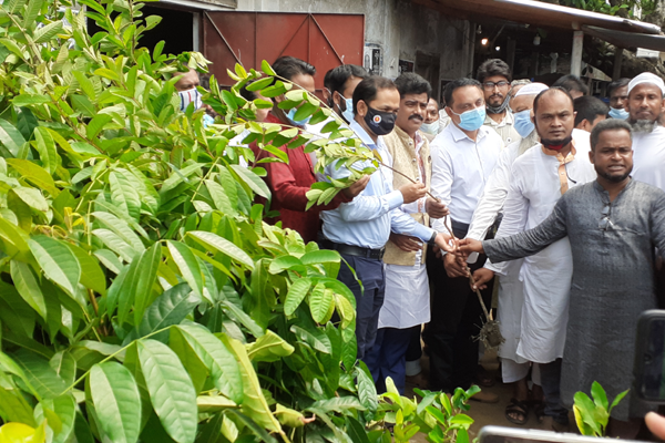 ময়মনসিংহে বঙ্গবন্ধু ফাউন্ডেশনের উদ্যোগে ৫০০০ চারা বিতরণ