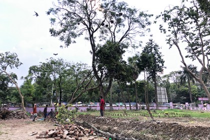 গাছ কেটে পাখি হত্যাকারীদের আইনের আওতায় আনার দাবি