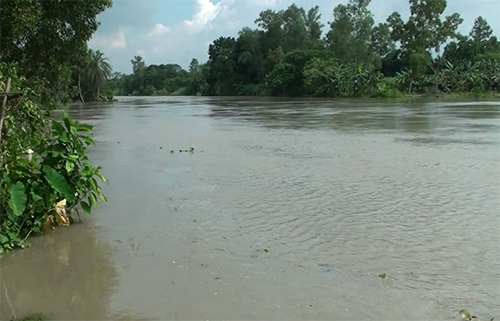 টাঙ্গাইলের বন্যা পরিস্থিতি কোথাও উন্নতি আবার কোথাও অপরিবর্তিত