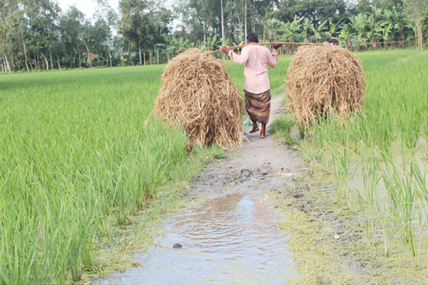 ৫ যুগ ধরে রাস্তা পায়নি দুই গ্রামের মানুষ