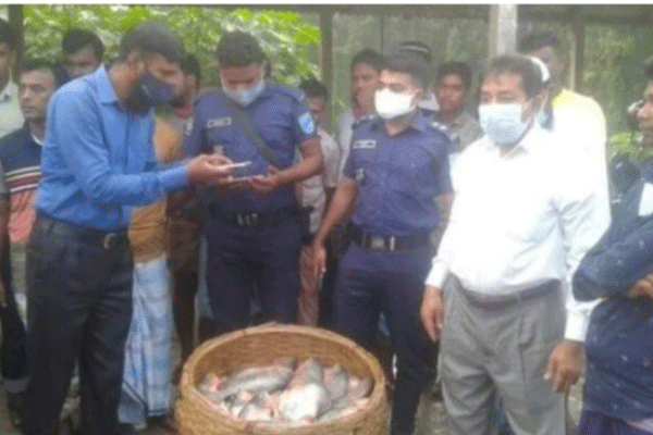 কালিয়াকৈরে নিষিদ্ধ পিরানহা মাছ জব্দ