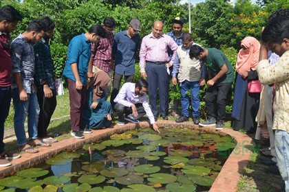 একটি ব্যাঙ কৃষকের প্রায় ৮ কোটি টাকার ফসল বাঁচায়!