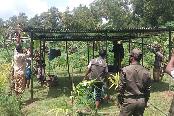 শেরপুরে দুই যুগ পর বনের এক একর জায়গা দলখমুক্ত