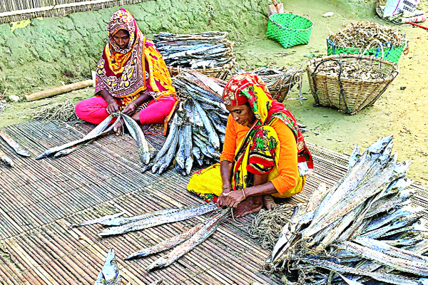 জেলে সম্প্রদায়ের আর্থসামাজিক উন্নয়নে জাইকার সঙ্গে চুক্তি