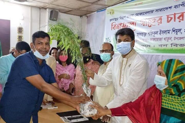 নাটোরে দুইশ' শিক্ষা প্রতিষ্ঠানে পাঁচ হাজার গাছের চারা বিতরণ