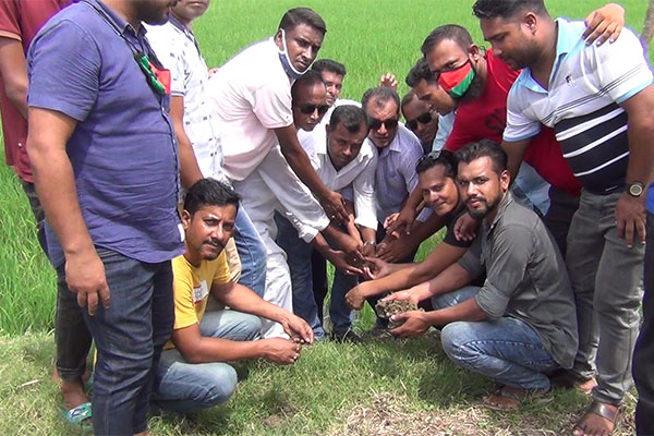 নাটোরে যুবদলের তালের চারা রোপণ
