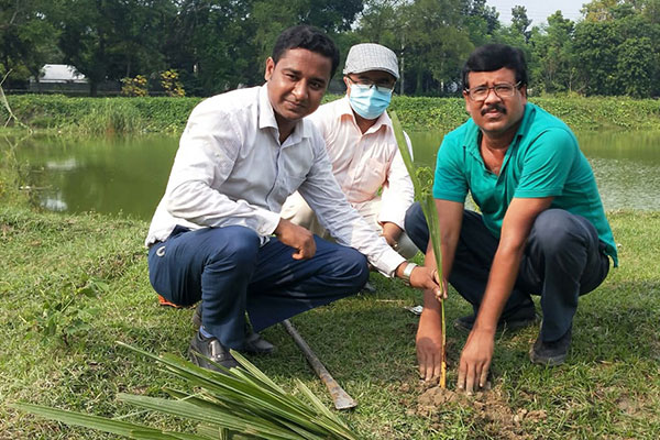 ফরিদপুরে তিন হাজার তালবীজ রোপণ করলেন স্কুল শিক্ষক নুরুল ইসলাম 