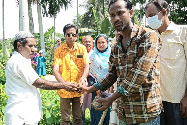 বড়াইগ্রামে ৩ হাজার তালের বীজ রোপণ কর্মসূচি