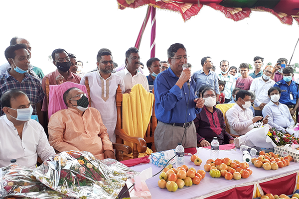 সাতক্ষীরায় দুটি টমেটো খেত পরিদর্শন করলেন কৃষিমন্ত্রী 