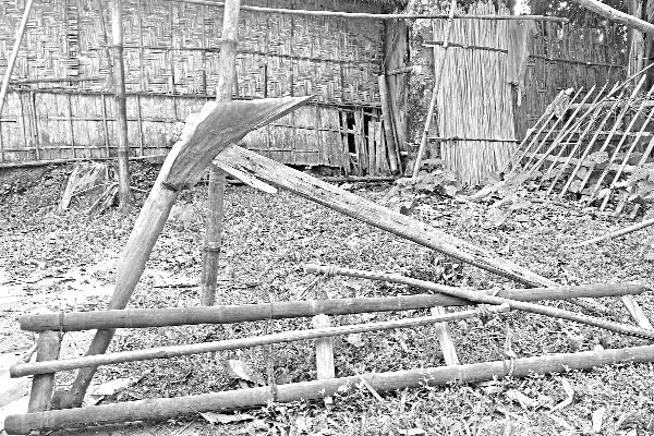 হারিয়ে যাচ্ছে লাঙল