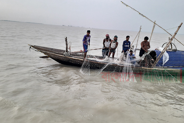 ভরা মৌসুমেও পদ্মা-মেঘনায় দেখা নেই ইলিশের