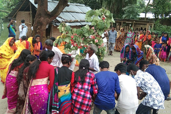 চাঁপাইনবাবগঞ্জে আদিবাসীদের করমা উৎসব উদযাপন