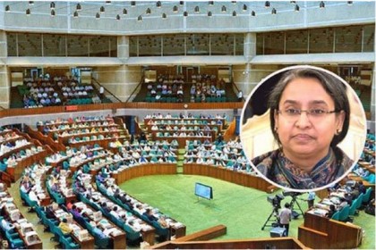আন্দোলনের ভয়ে বিশ্ববিদ্যালয় খুলছে না, এমন বক্তব্য হাস্যকর: শিক্ষামন্ত্রী 

